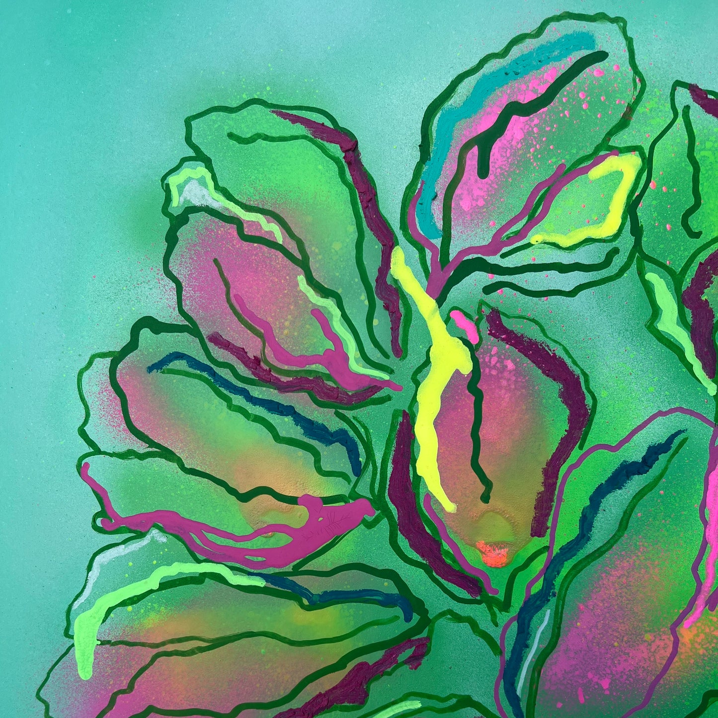Parrot Tulip Flowers No.1