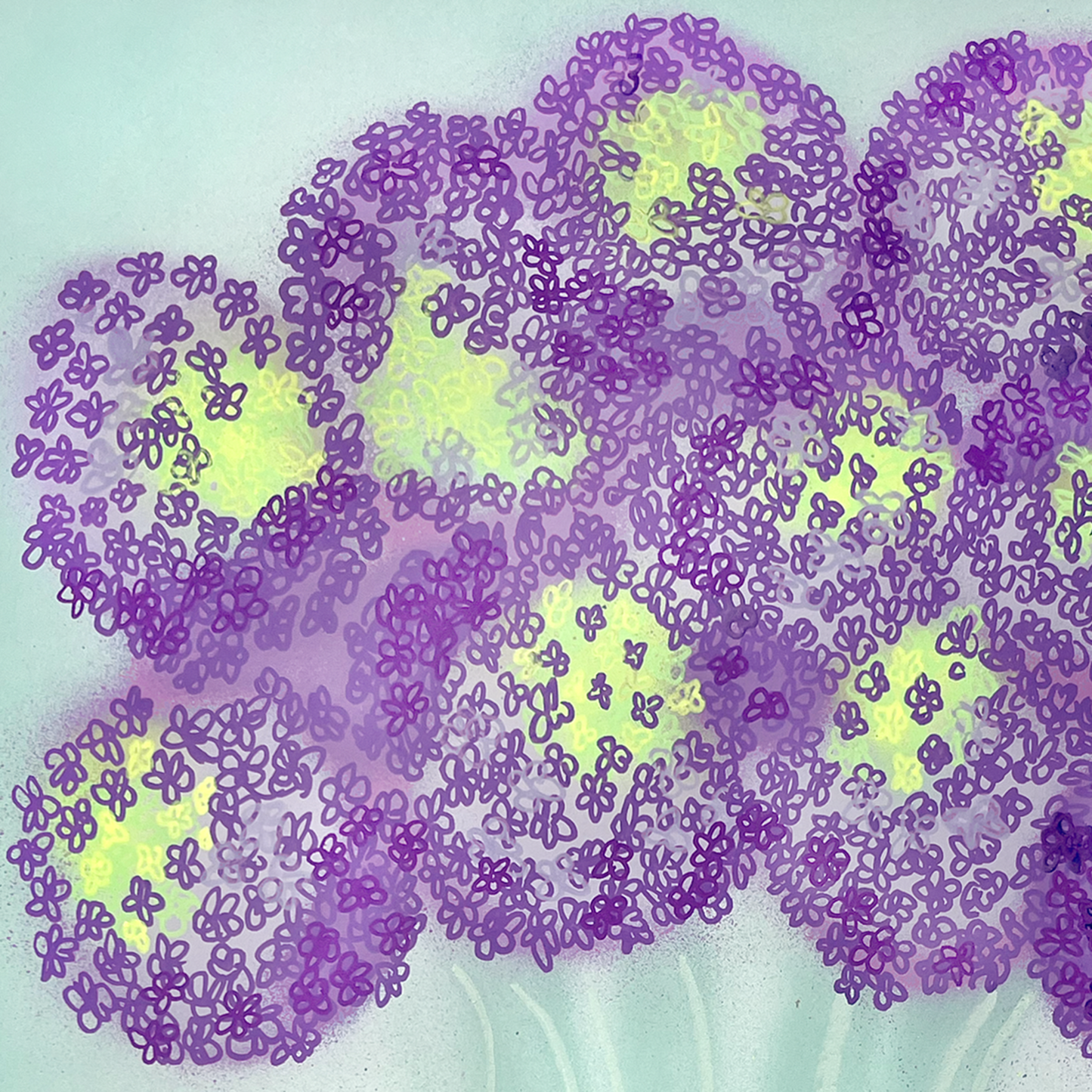 Purple Allium Flowers No.2